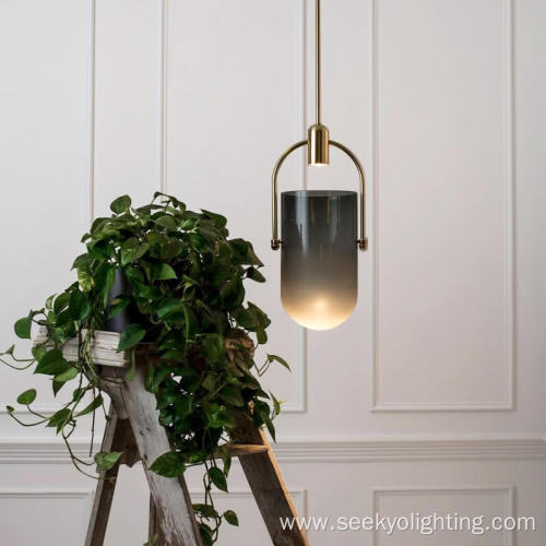 small modern matte black pendant light